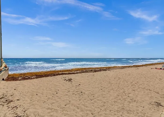 The Shell On Walnut Studio With Bath Hollywood Beach Free Parking