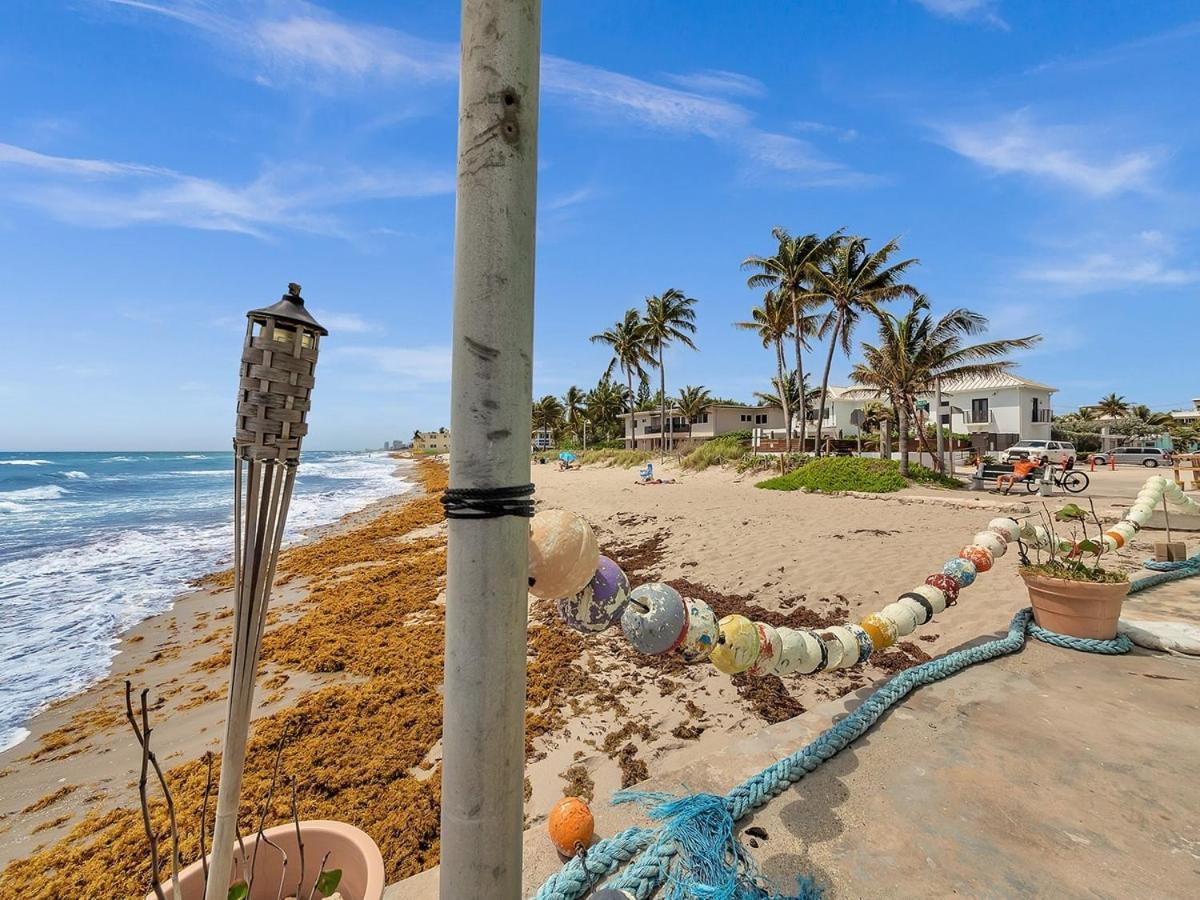 Apartment The Shell On Walnut With Bath Hollywood Free Parking Dania Beach